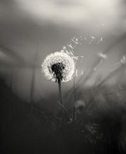 Psicología Amorebieta imagen 8