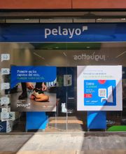 Oficina Seguros Pelayo imagen 1