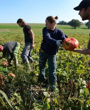 Gfeller maraîcher bio Bild 8