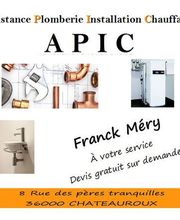 Apic image 1