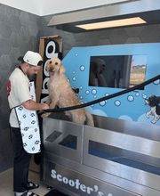 Scooter's Car and Dog Wash image 4