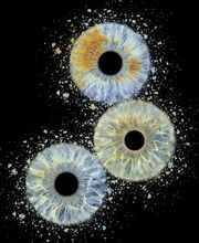 Studio Lichtwert Bild 16