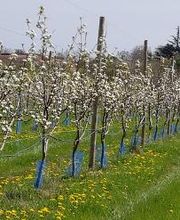 S . N Les Vergers De Muant SARL image 5