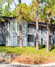 Hairston Woods image 7