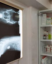 santa-elena-clinica-veterinaria-radiografia-03.jpg