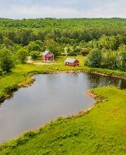 Vanessa Stone Real Estate, LLC image 20