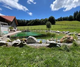 Zagray Garten & Landschaftsbau Bild 9