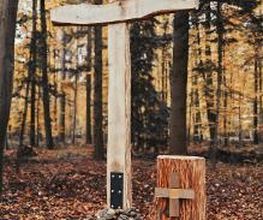 FriedWald Goch-Tannenbusch Bild 2