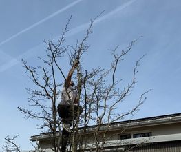 Gartencoach Dario Peyer Bild 2