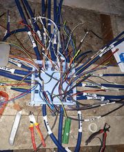 Dandieu Bernard image 8