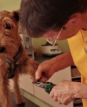 Tierarztpraxis rundumXund Bild 3