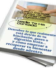 307558700-1-3P5bqc11lJ1773429445214.png