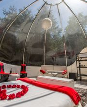 bulles de sologne image 6