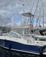 Boat 360 - Pesca Deportiva & Chárter Privado Tenerife imagen 3