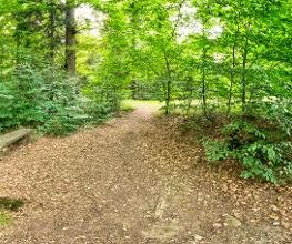 FriedWald Bramsche Bild 14