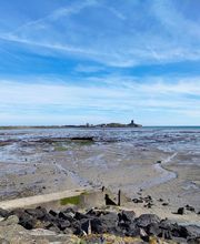 David & Cathy VTC Quettehou image 5