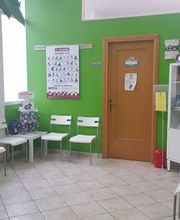 Gallery Cliente