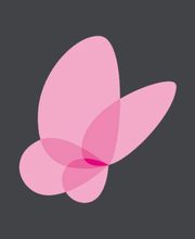 Evolys Martigny SA Bild 1