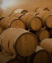 Damy Père Et Fils image 2