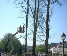 obra-ambiental-04.jpg
