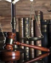 Constitución 7 imagen 2