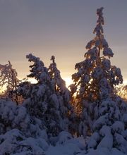 Gaststätte Lugsteinbaude Bild 3