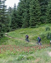 Peak & Powder Outdoorevents Bild 13