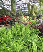 Serres Du Mas Reboul image 2