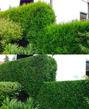 Sven Jöcks Haus und Gartenservice Bild 2