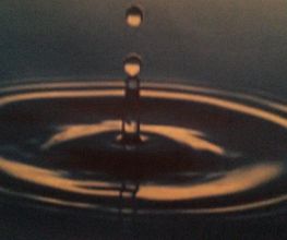 Sea Zen Beaute image 14