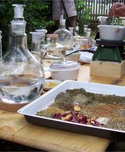 Heilpraktiker Prof. E.h. Iwailo Schmidt BGU Dresden Bild 1