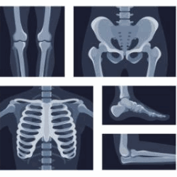 Studio di radiologia Cedim S.r.l. Dr. Greco logo