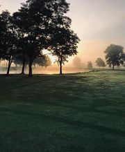 Swan Lake Resort image 2