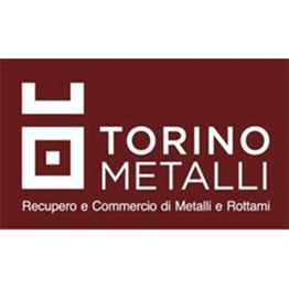 Torino Metalli logo