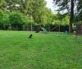 Melanie's Pfotenschule Bild 4