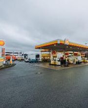 Shell Bild 1