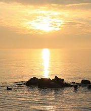 Bestattungsinstitut Winter Bild 7