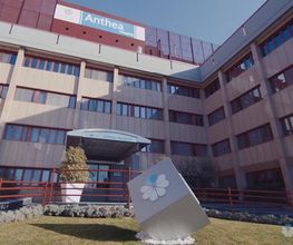 GVM - Anthea Hospital immagine 1