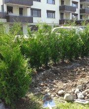 Mächi Hürlimann GmbH Bild 1