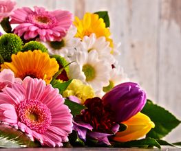 Blumen