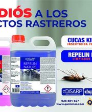 199391186-0-u9IcxrnURA1702634936374.jpeg