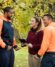 SavATree - Tree Service image 9