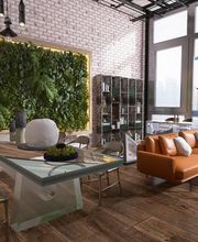 Jardines Vladimir S.L imagen 1