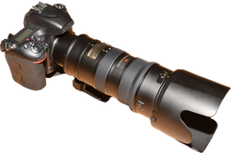 Photo Scolaire, Mariage, Catherine, Gaëtan Gendrot et fils