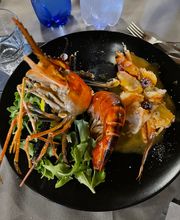 Gallery Professionale