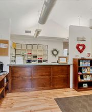 Seabreeze Dental image 7