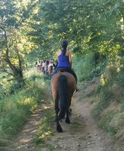 Ecole D'Equitation De Chazeron image 4