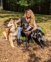 Dog College Franken Bild 1