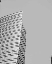 Consoftware Team immagine 14