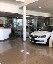skodaautoffam.jpg